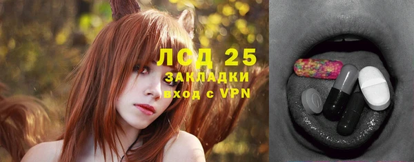 шишки Надым