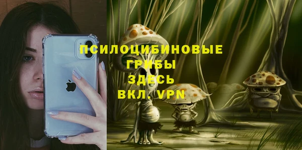 apvp Нефтекумск