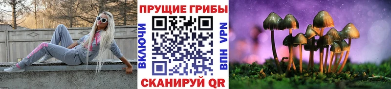 Псилоцибиновые грибы MAGIC MUSHROOMS  закладки  мориарти официальный сайт  Кондопога 