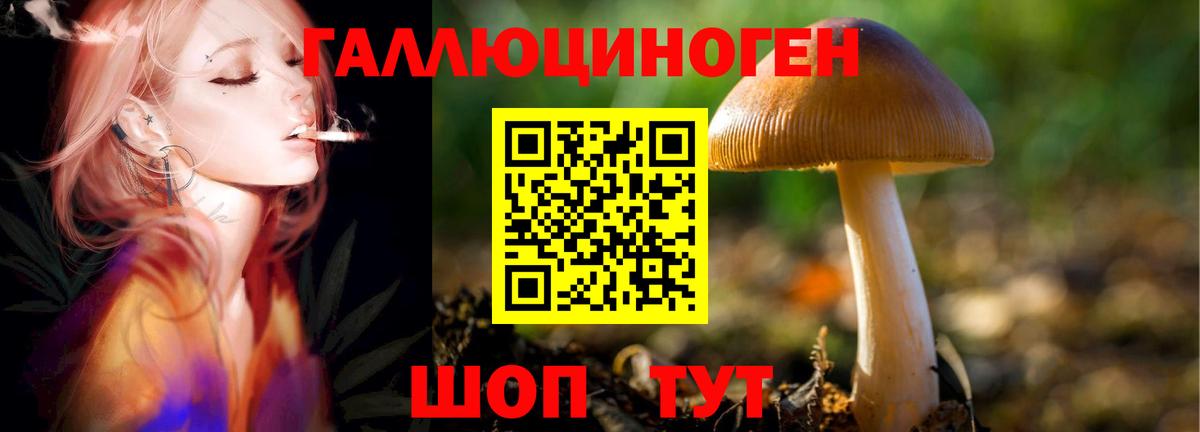 Псилоцибиновые грибы ЛСД  Вход с VPN  Галлюциногенные грибы Magic Shrooms  Кондопога 